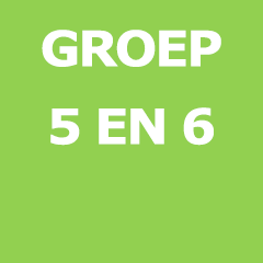 Groep 5 en 6