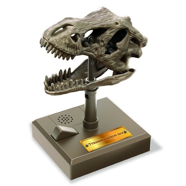Educatieve dino bouwset STEM speelgoed van 4M