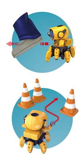 Robot Intelligente Tibo - Buki