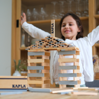 Kapla 40 Plankjes Grijs