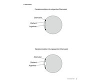 Optiek Ontdek Gezichtsvermogen
