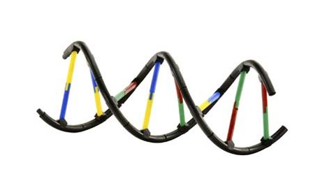 Genetica &amp; DNA