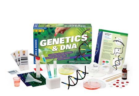Genetica & DNA